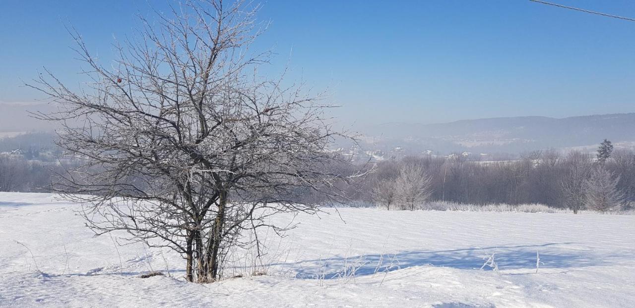 Dom Grabowa Z Sauna I Podgrzewanym Basenem Gilowice  Exteriér fotografie