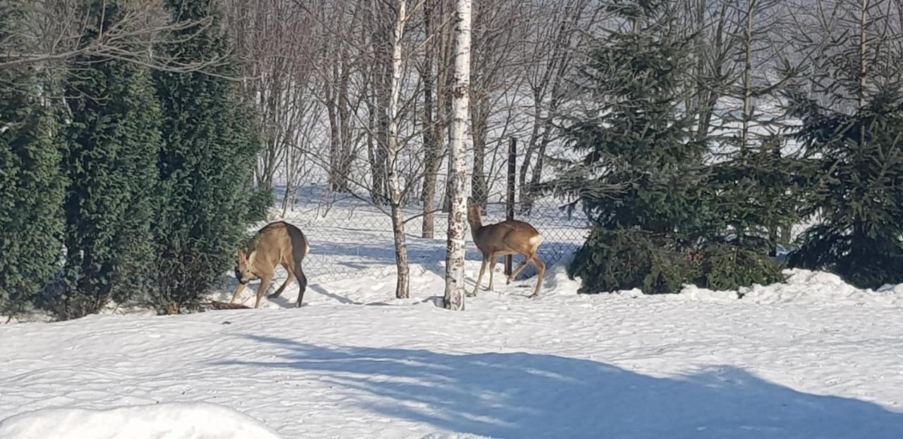 Dom Grabowa Z Sauna I Podgrzewanym Basenem Gilowice  Exteriér fotografie