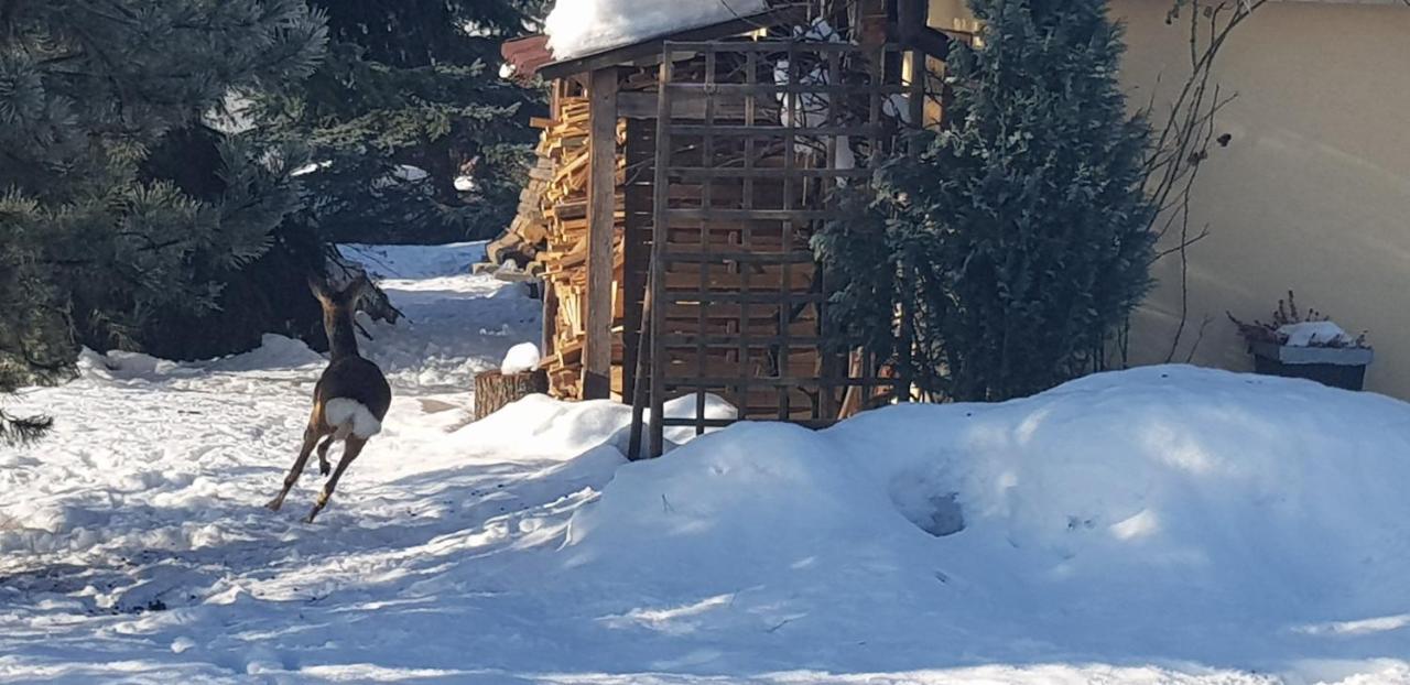 Dom Grabowa Z Sauna I Podgrzewanym Basenem Gilowice  Exteriér fotografie