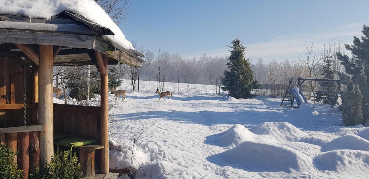 Dom Grabowa Z Sauna I Podgrzewanym Basenem Gilowice  Exteriér fotografie